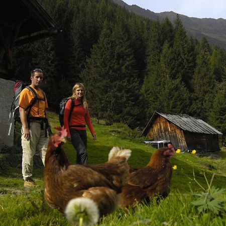 Aparthaus Camping Stubai Lejlighed Neustift im Stubaital Eksteriør billede