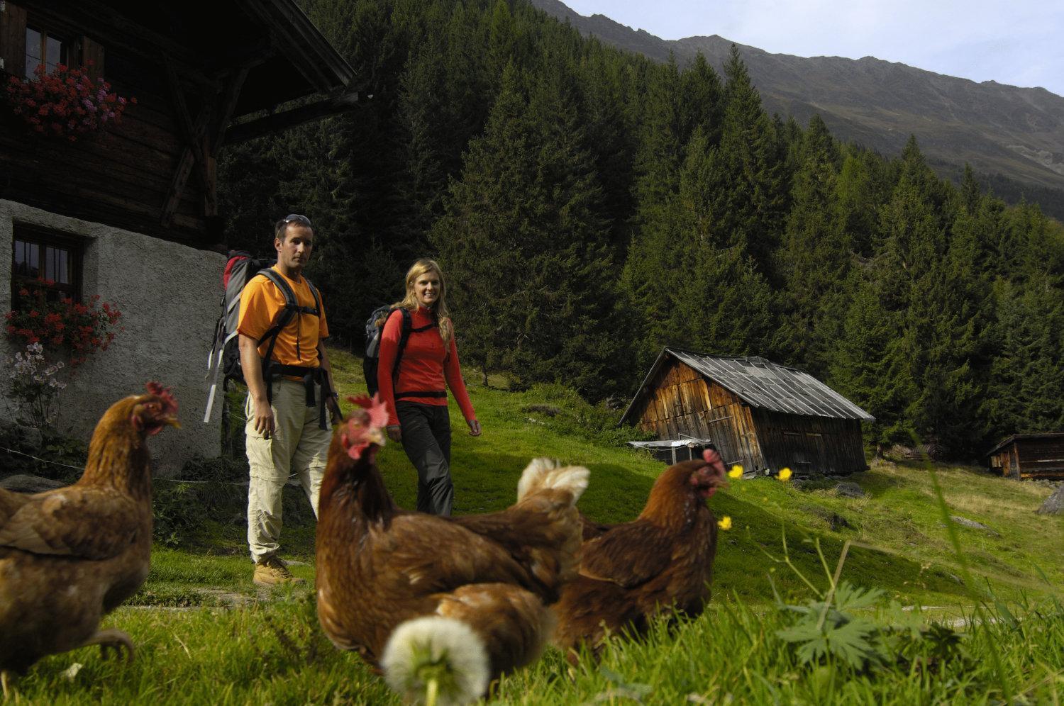 Aparthaus Camping Stubai Lejlighed Neustift im Stubaital Eksteriør billede